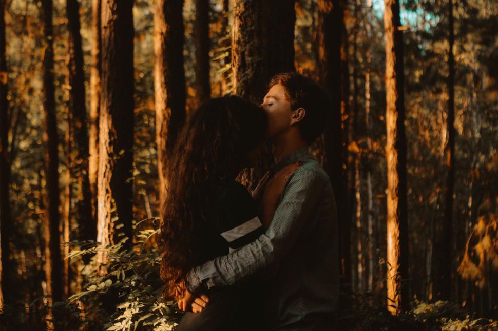 Free Image of Couple embracing in sunlit forest with wooden trees 
