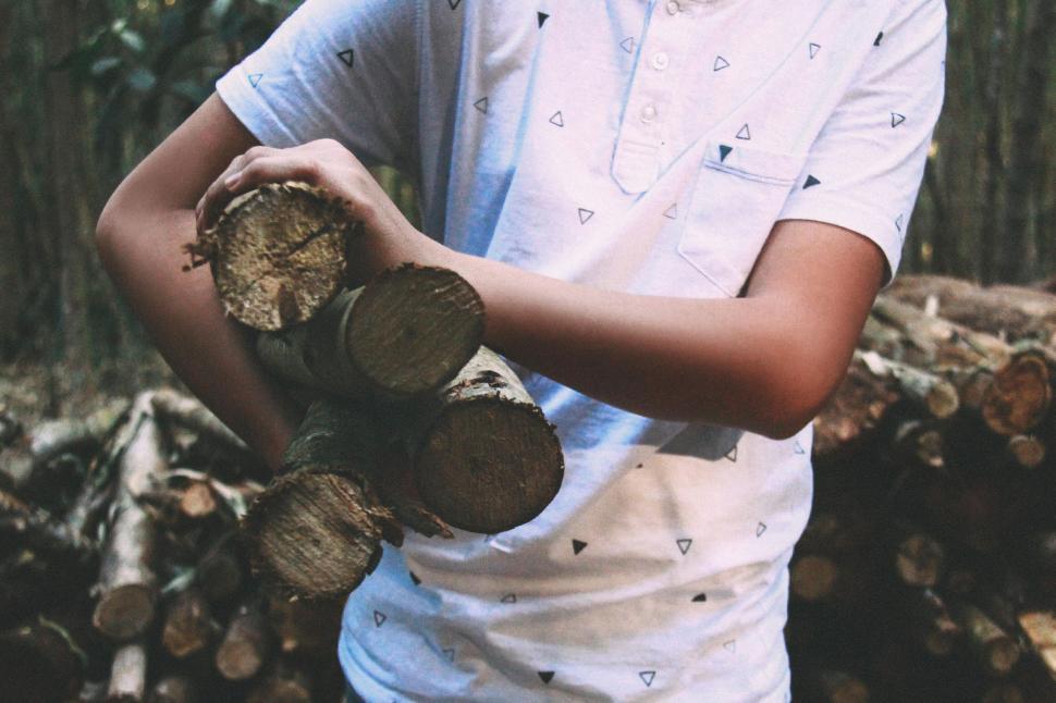 Free Image of Person holding firewood logs in a forest setting outdoors 