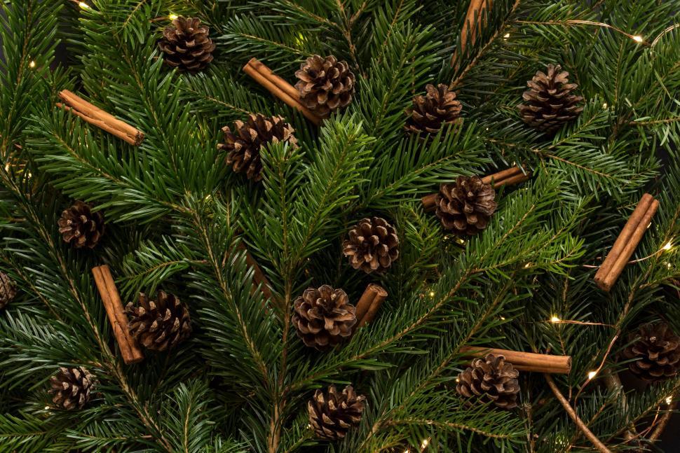 Free Image of Christmas decorations with pine cones on a green tree. 