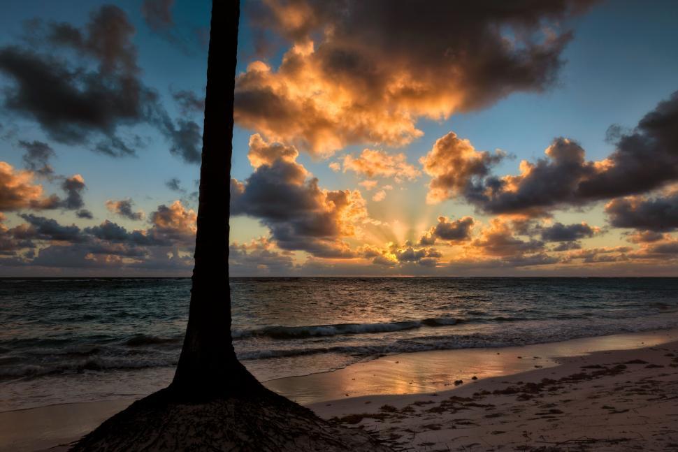 Free Image of Palm Tree Silhouette Against Orange Sunset Sky Over Ocean 