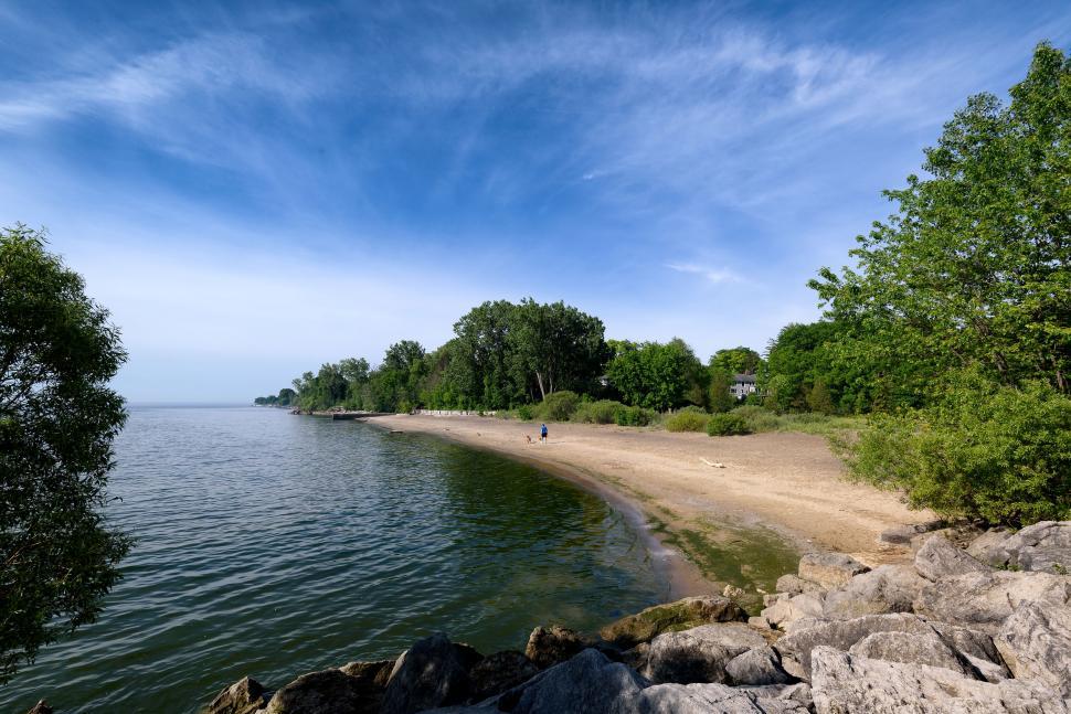 Free Image of Sandy beach fringed by trees along calm water body. 