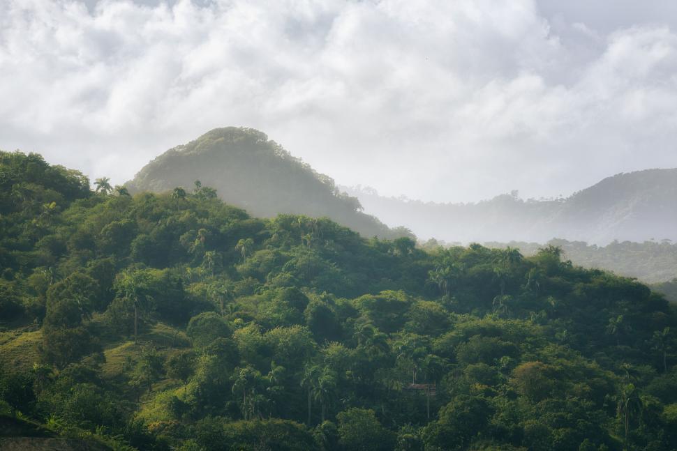 Free Image of Dense forested hills under clouds with sunlight peeking. 
