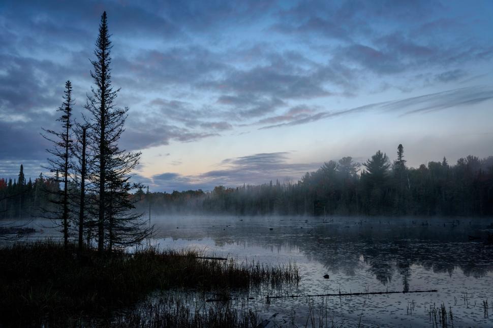 Free Image of Serene twilight over misty forest lake scenery view. 