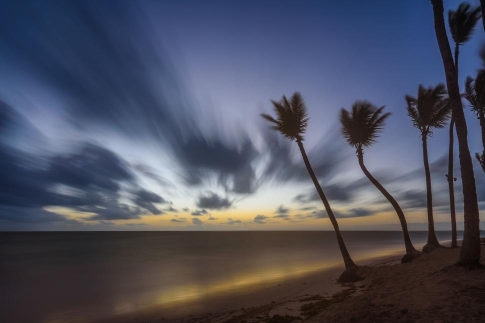 Free Image of Tropical beach during sunset with palm trees swaying. 