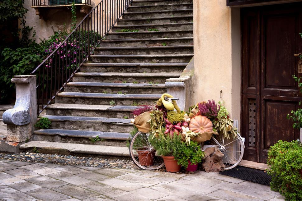 Free Image of Decorative bicycle with plants and pumpkins on a patio 