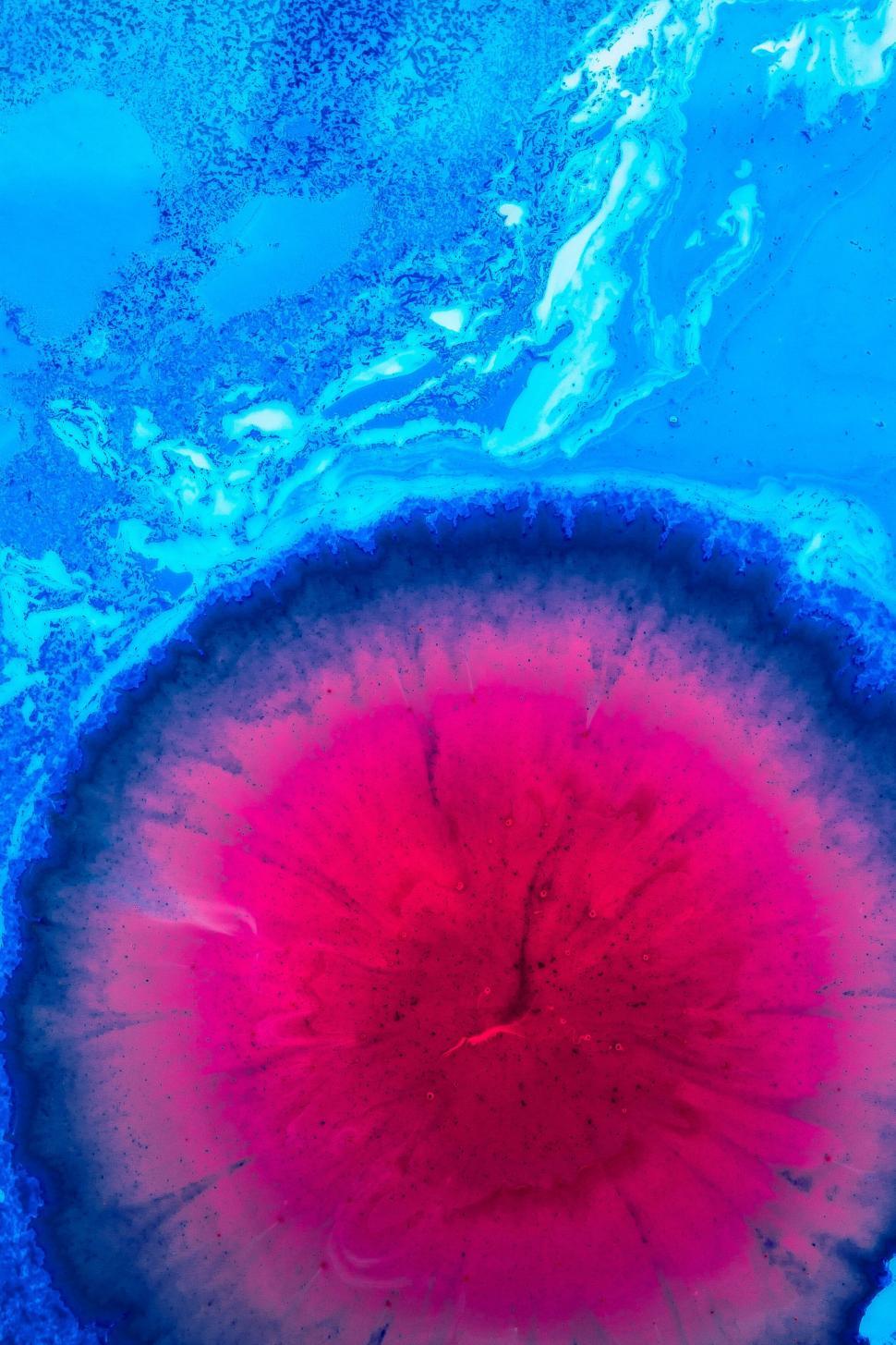 Free Image of Vibrant blue liquid abstract with a bright pink center 