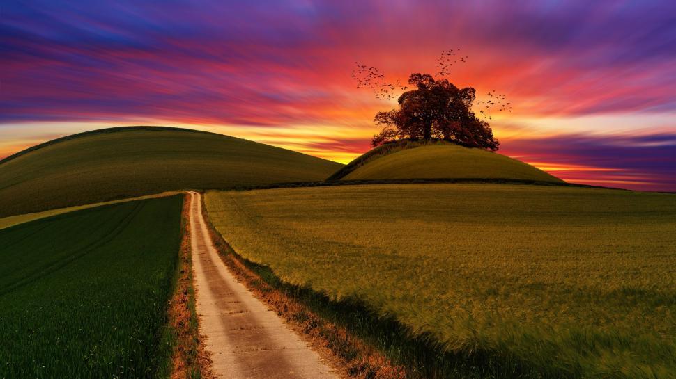 Free Image of Vibrantly colored sunset in hill landscape with trees. 