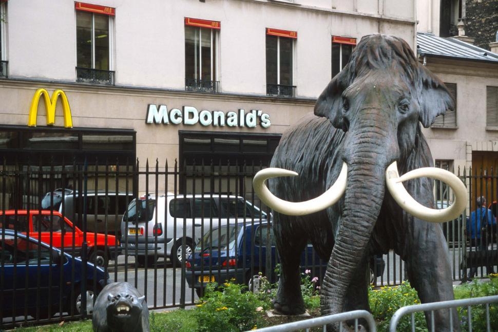 Free Image of Mastodon outside McDonalds  