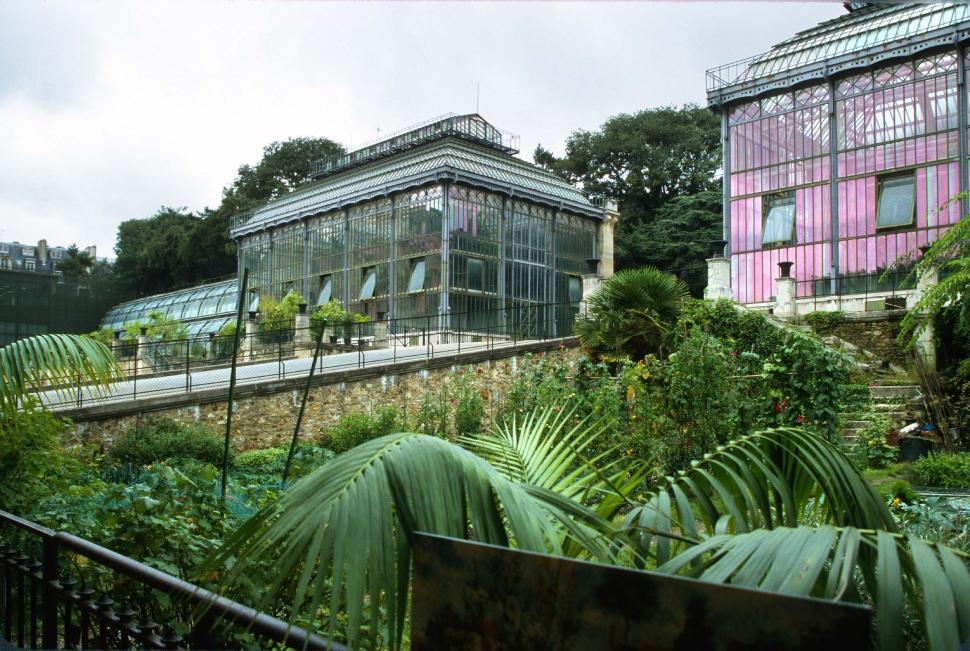 Free Image of france jardin des plantes public gardens greenhouse french europe european paris greenhouses glass houses botanical 