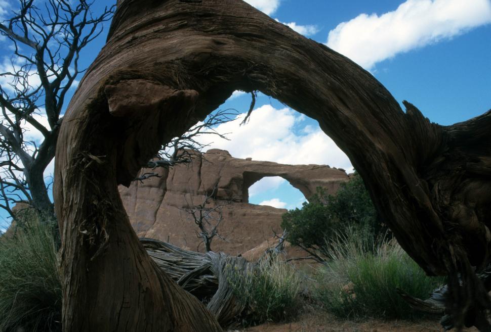 Free Image of Natural arches 