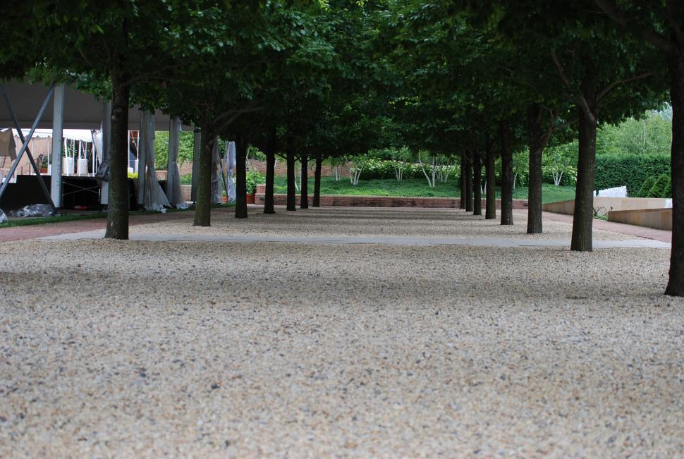 Free Image of Tree lined path 