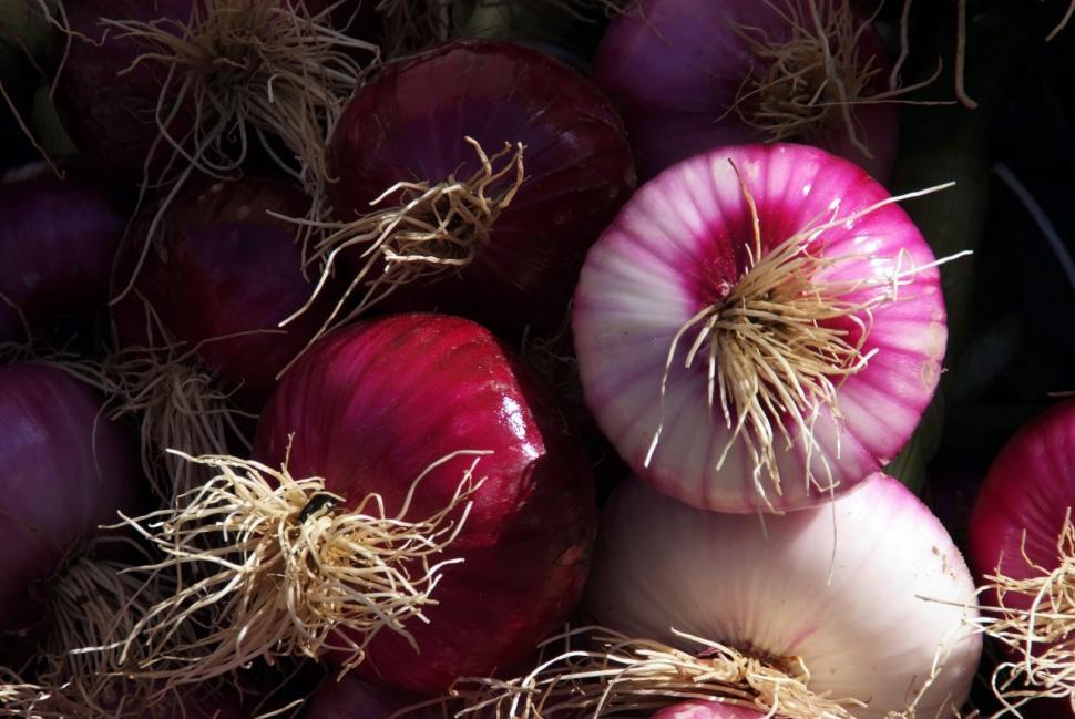 Free Image of Red Onions 