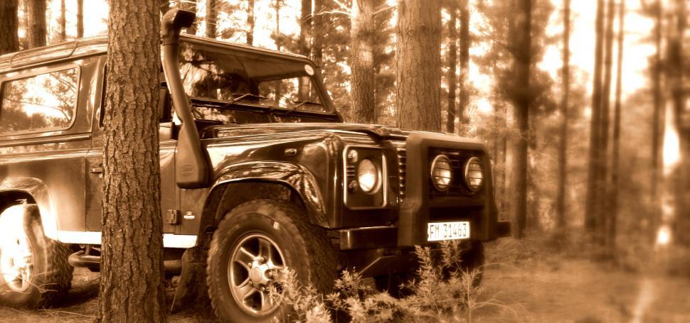 Free Image of Jeep Driving Through Woods 