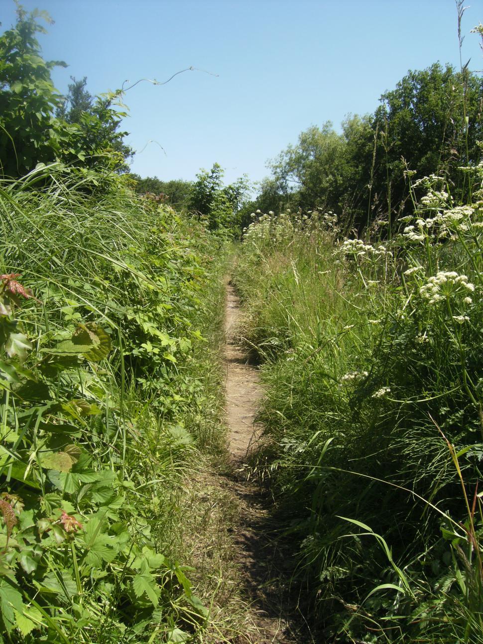 Free Image of Canal path 