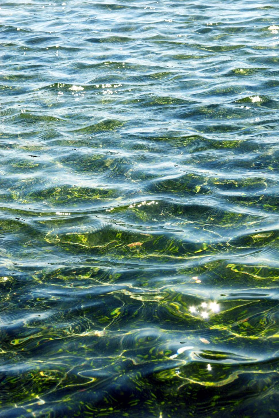 Free Image of Ocean water ripples 