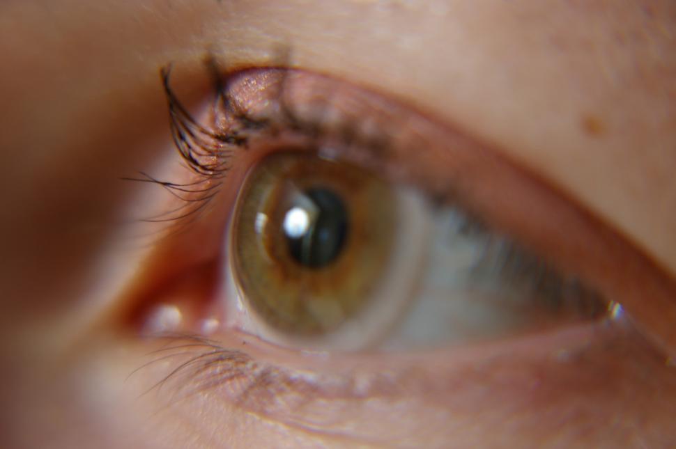 Free Image of Close Up of a Brown Eye 