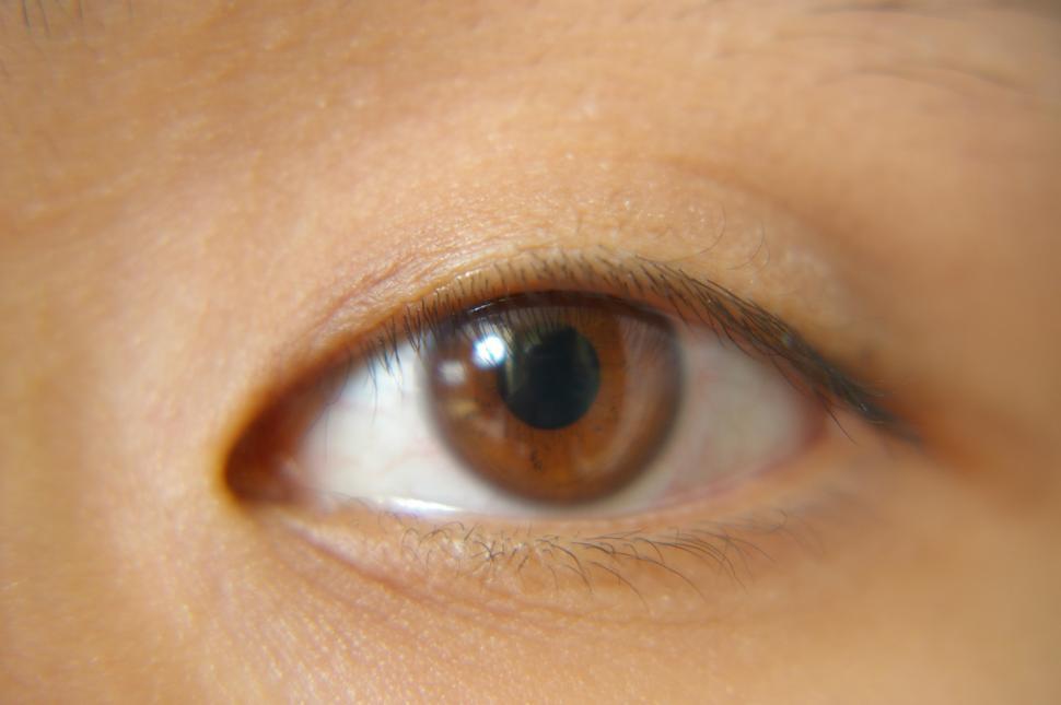 Free Image of Close Up of a Persons Brown Eye 