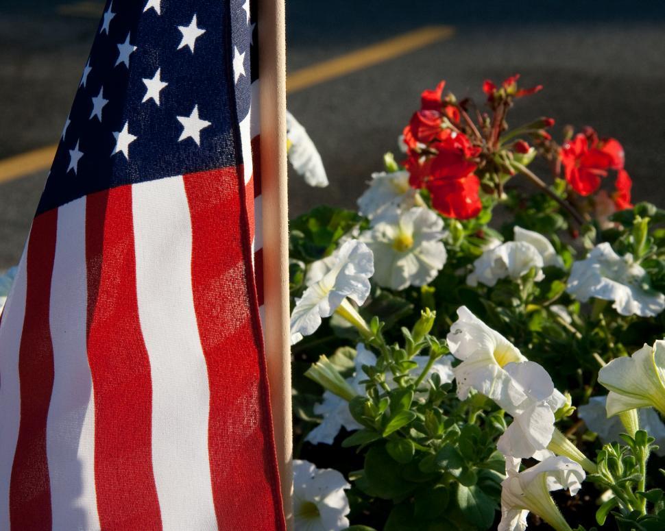 Free Image of US Flag with Flowers 