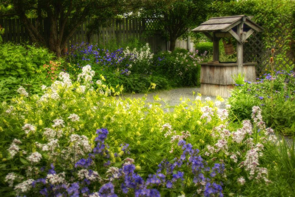 Free Image of Flower Garden 