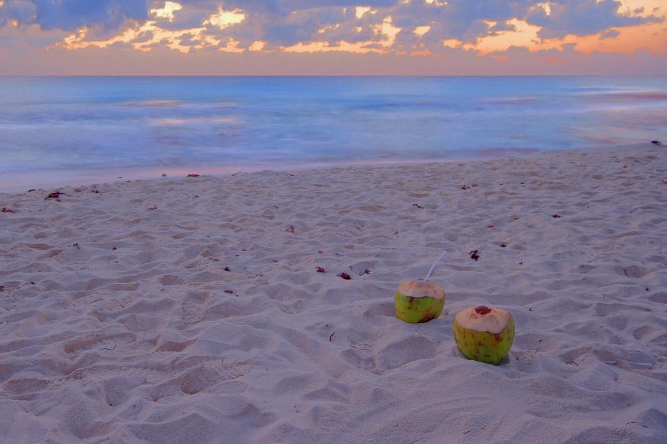 Free Image of Coconuts on the Beach 