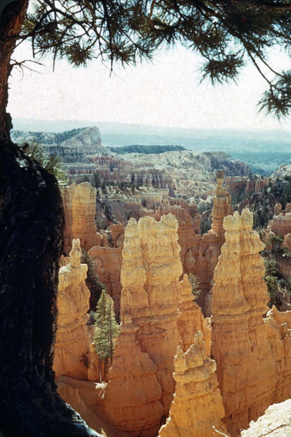 Free Image of bryce canyon national park utah towers landscapes vintage photo hoodoos rocks spires canyons geology geologic formations erosion eroded vintage photograph FACAT001 