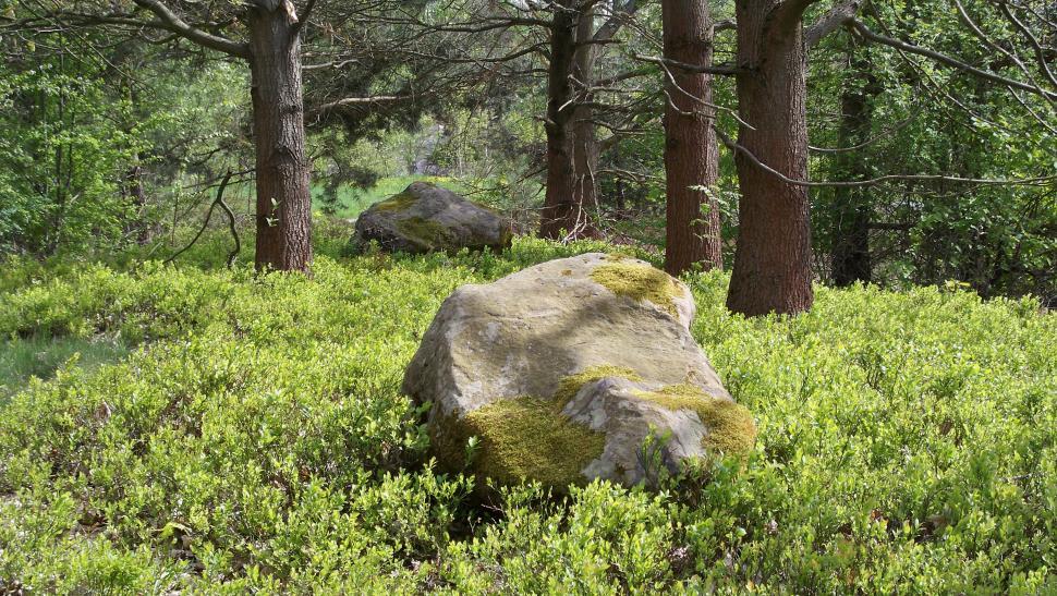 Free Image of Landscapes dominated by forest and rocks 