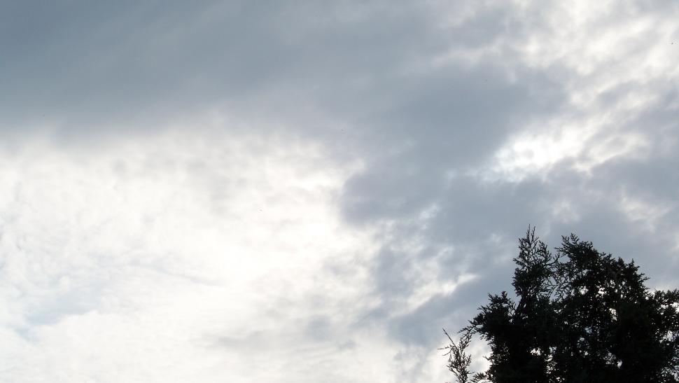 Free Image of Cloudy sky with trees 