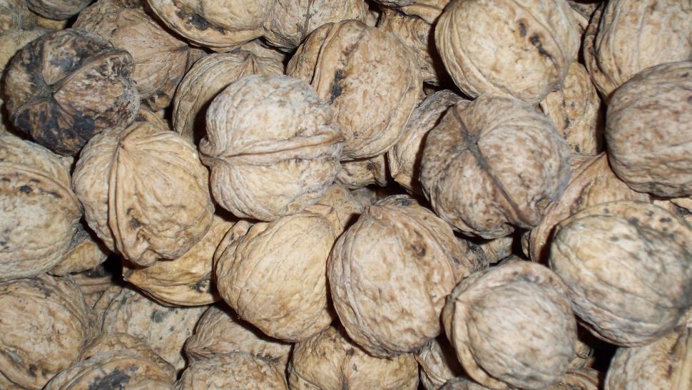Free Image of Close-up of walnuts 