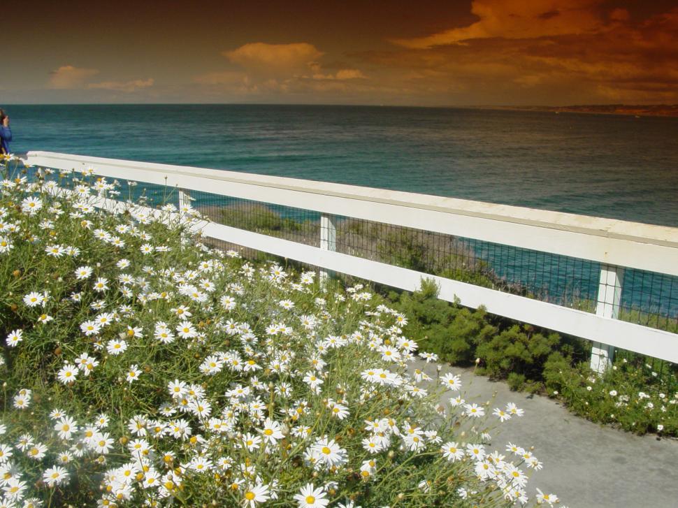 Free Image of Ocean View with White fence and Orange sky 