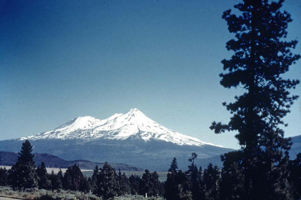 Free Image of mount shasta california mt. shasta mountains landscapes vintage photo pines pine trees snow peaks snowy winter vintage photograph FACAT001 