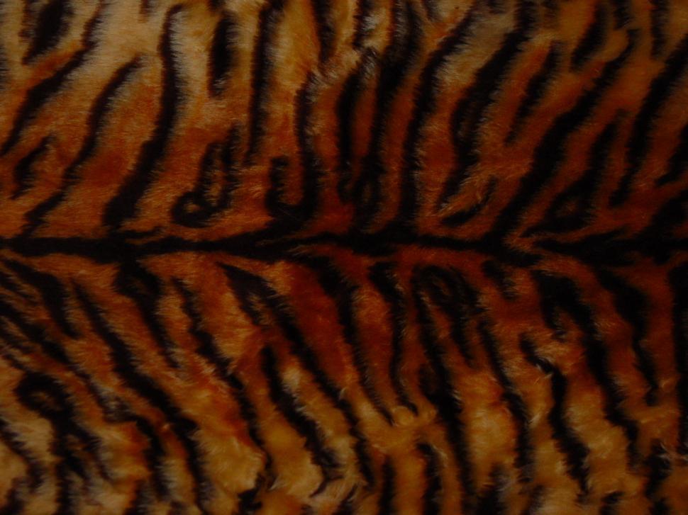 Free Image of a fake tiger print 