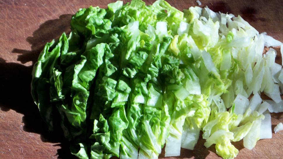 Free Image of Chopped Lettuce  