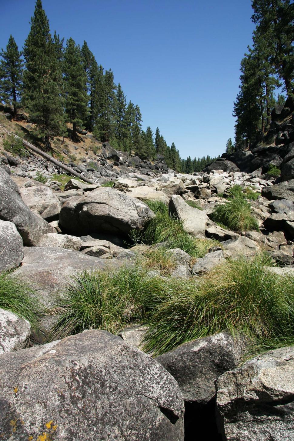 Free Image of river gorge feather california stream rocks rugged trees pine tree water wilderness bed riverbed streambed boulder boulders canyon 