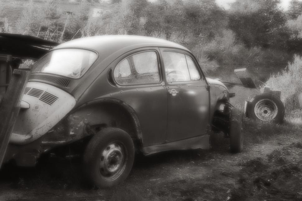 Free Image of abandoned beetle 