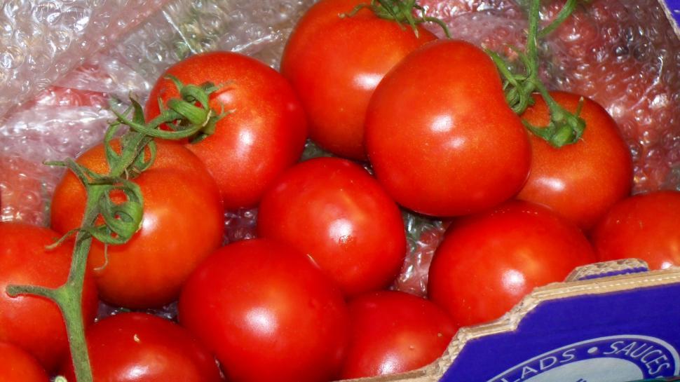 Free Image of Tomatoes  