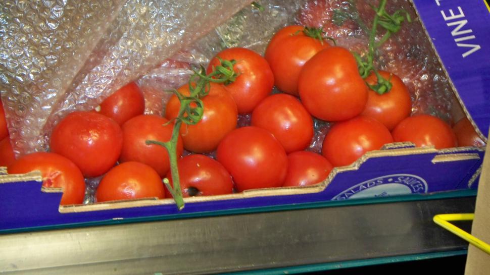 Free Image of Tomatoes  