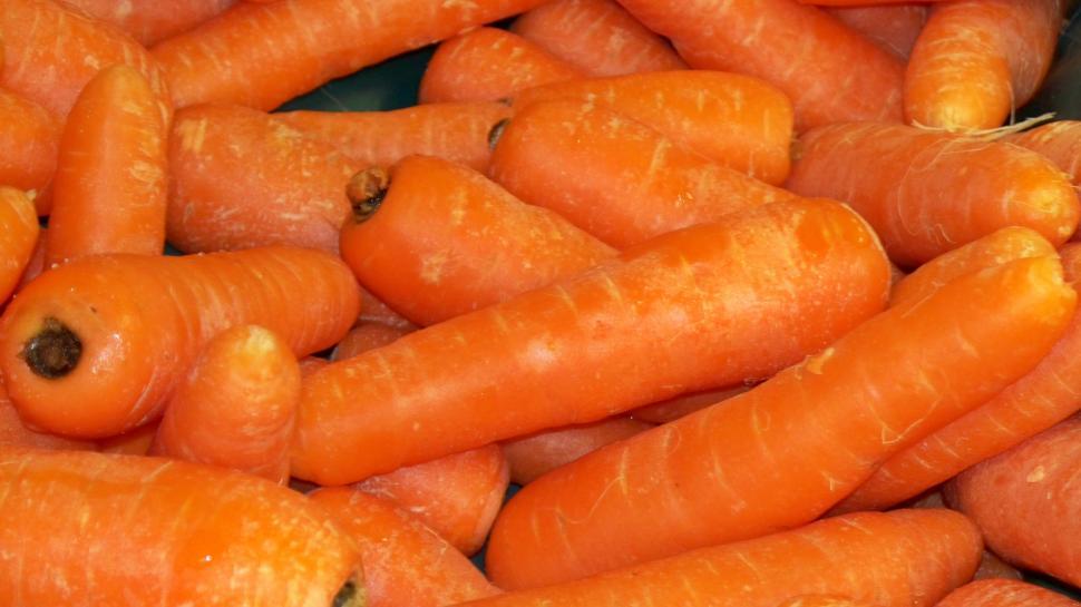 Free Image of Carrots 