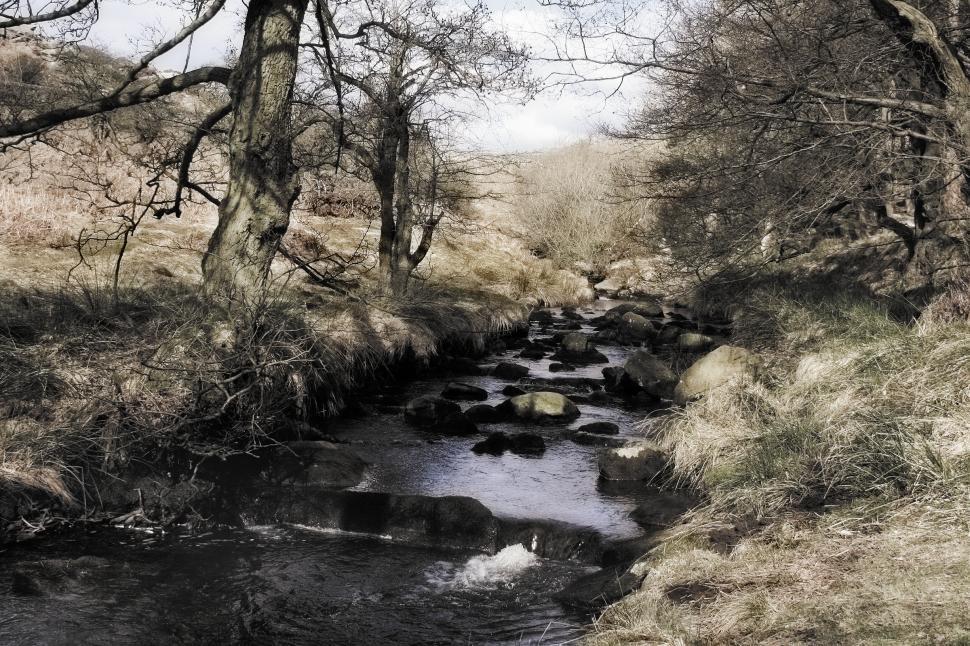 Free Image of country stream 