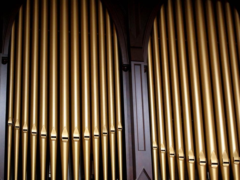 Free Image of pipe organ pipes 