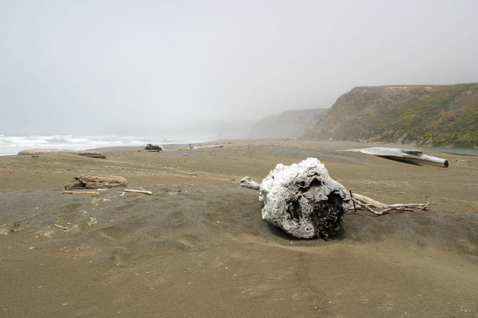 Free Image of Driftwood on the beach 