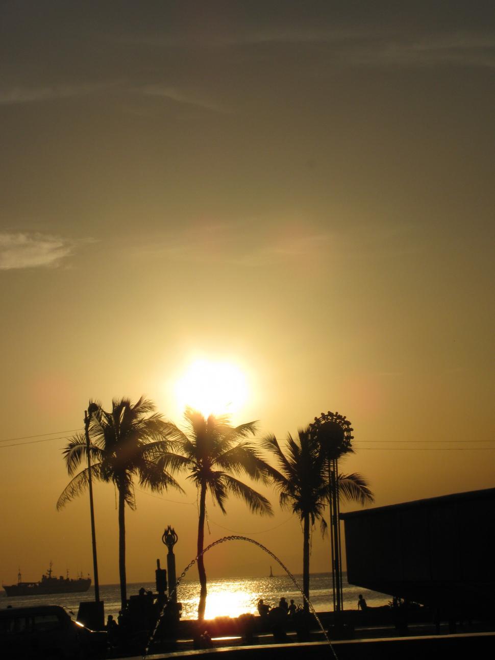 Free Image of Sun Setting Over Ocean With Palm Trees 