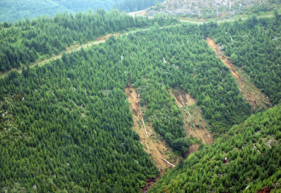 Free Image of Clearcut Logging Mudslides 