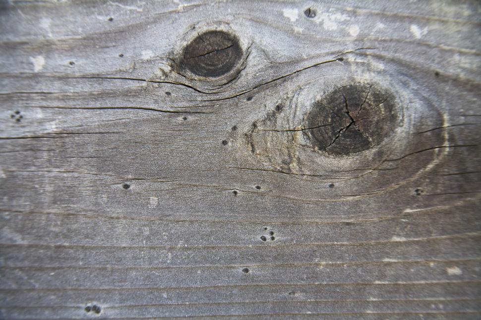 Free Image of Knots in wood 