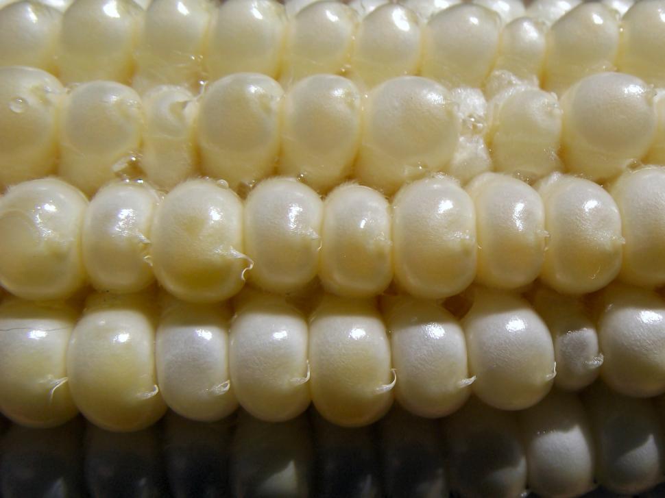 Free Image of Corn on the cob close up 