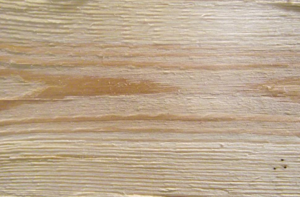 Free Image of Unsanded rough pine board close up 
