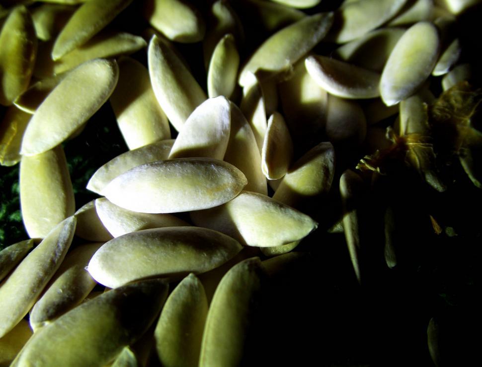 Free Image of Super close up of cantaloupe seeds 