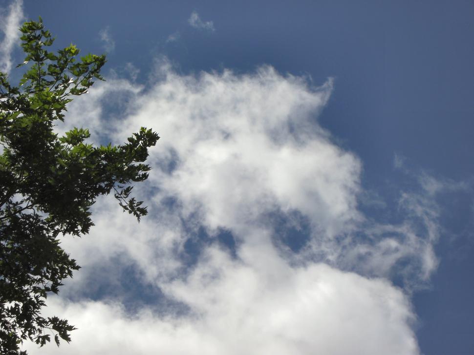 Free Image of High thin white clouds 