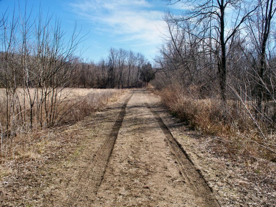 Free Image of Dirt roadway road through the woods 