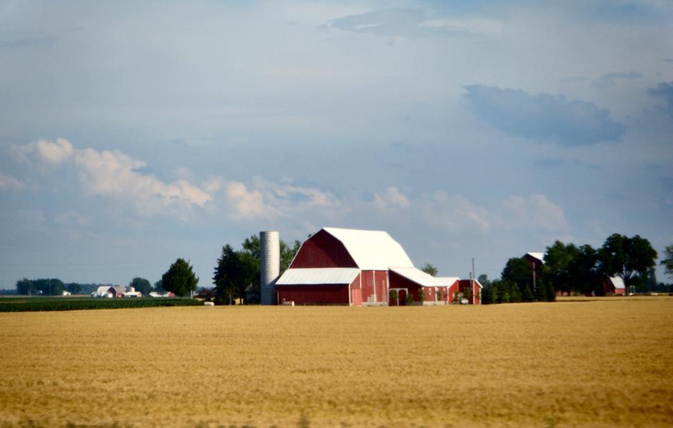 Free Image of Dairy farm with cows, silos, corn fields, barns, sheds, and farmhouse 
