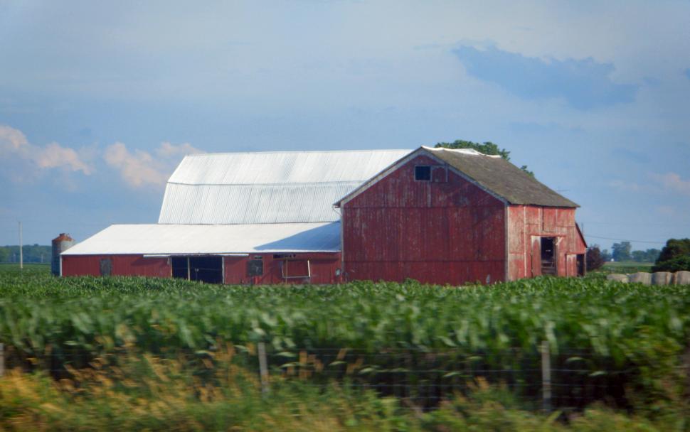 Free Image of Huge Old Roadside Barn with corn fields 